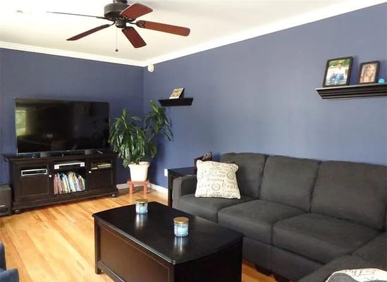 Living room with dark blue walls, a couch, and TV