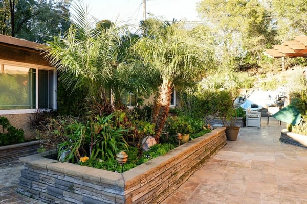 Lush garden with palm trees and paved pathways