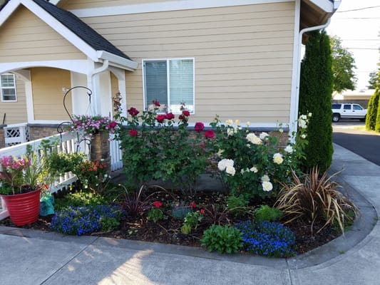 Vibrant flower bed near the entrance of a facility