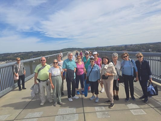 Group of seniors enjoying an outdoor activity