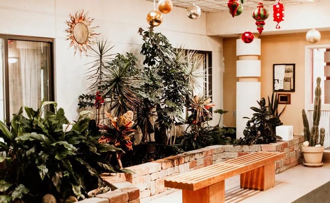 Interior courtyard with plants and seating area