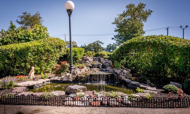 A serene outdoor garden with a fountain and landscaping