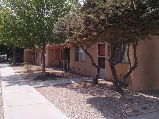 Pathway leading to cottages with trees and landscaping