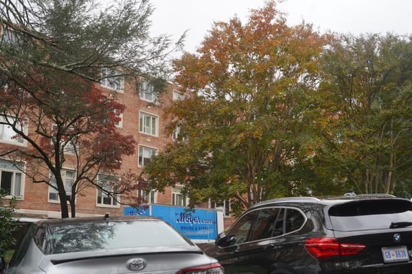 Building exterior with autumn trees and parked cars