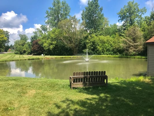 A serene pond in a landscaped area
