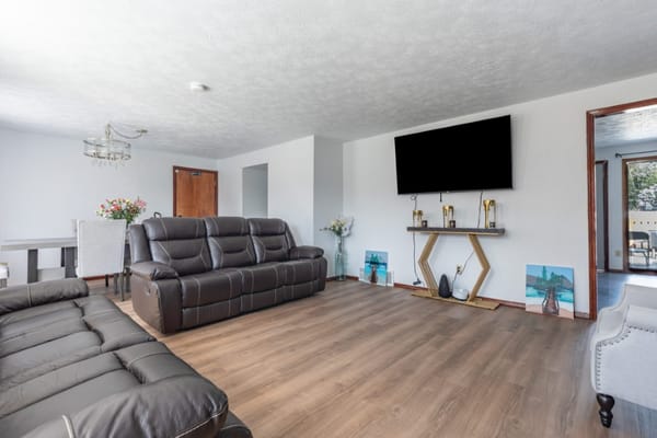 Spacious living room with comfortable seating and decorative plants