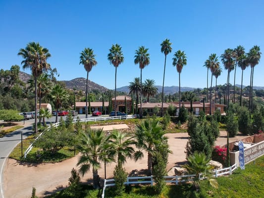 Aerial view of Villa Monticello surrounded by palm trees