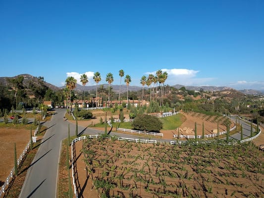 Aerial view of the facility with palm trees and vineyards