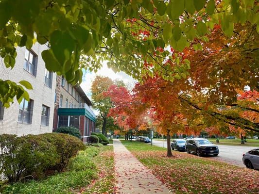 Beautiful outdoor view with autumn foliage near the facility