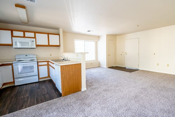 Interior view of a kitchen and living area