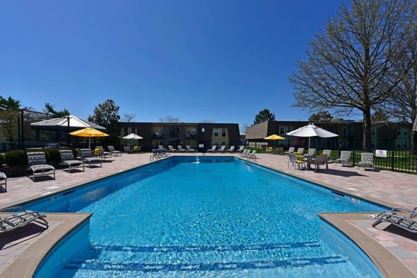 Outdoor swimming pool area with lounge chairs and umbrellas