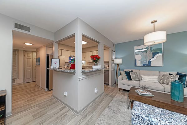 Cozy interior of a shared living space with modern decor