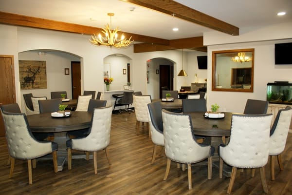 Bright dining area with modern furniture and plants