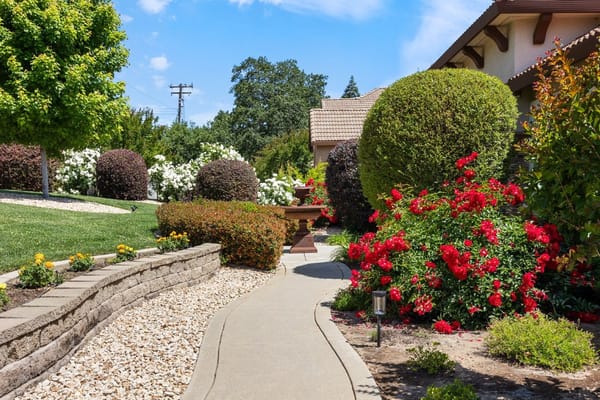 Pathway through a beautifully landscaped garden