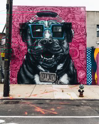 RiseBoro Community Partnership