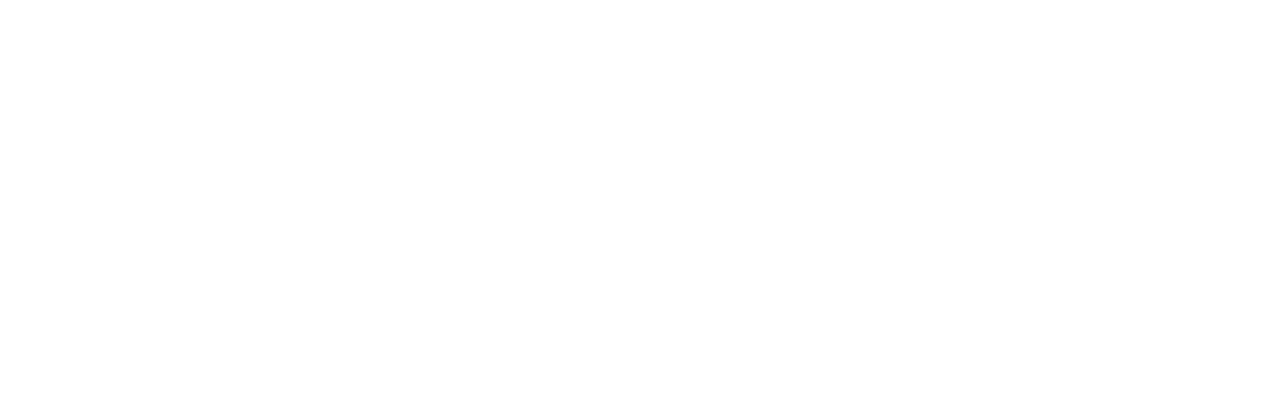 RiseBoro Community Partnership