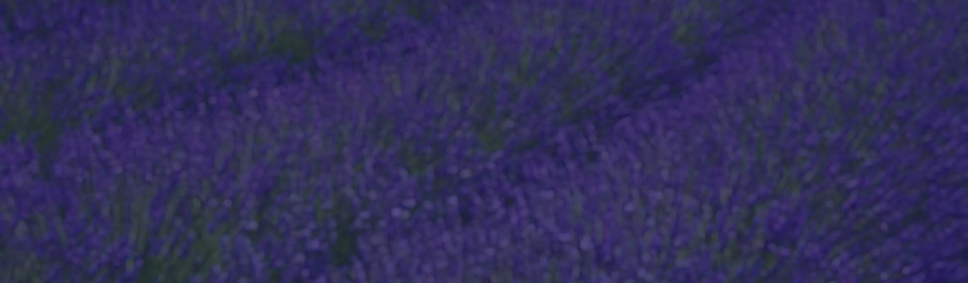 Sanctuary at Green Mountain