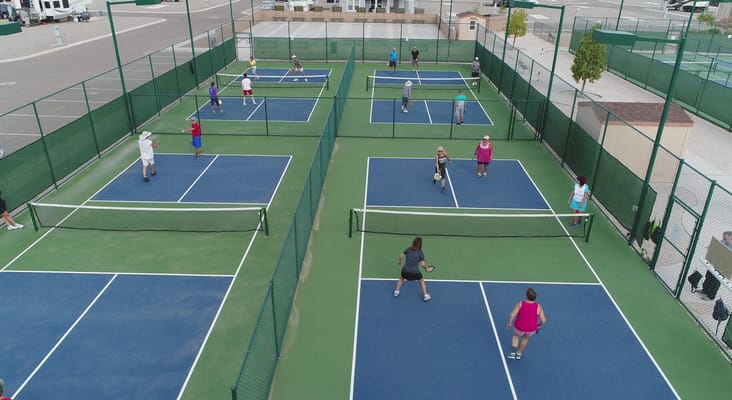 Residents engaging in outdoor pickleball activity
