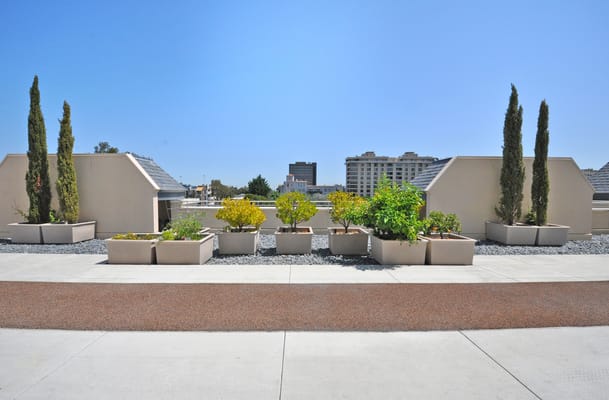 Outdoor garden area with planter boxes and greenery