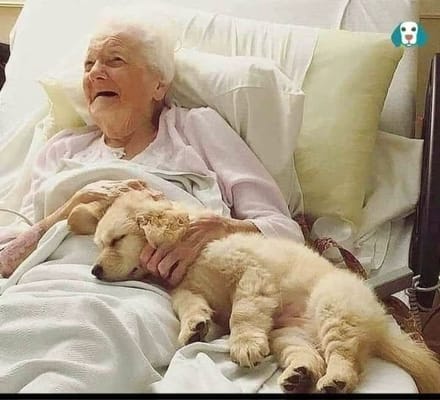 Grace Residential Assisted Living