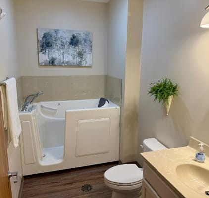 Bathroom with a walk-in tub and modern fixtures