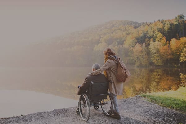 A person in a wheelchair enjoying a serene lakeside view