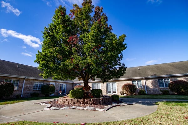 Courtyard with a large tree and residents sitting nearby