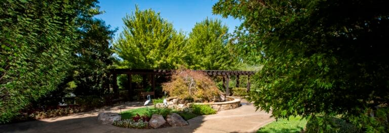 Outdoor garden area with seating and trees