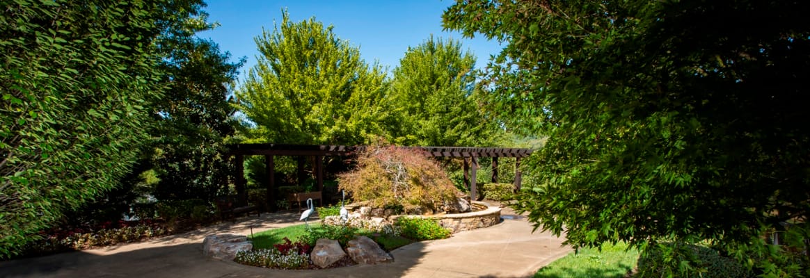 Outdoor garden area with seating and trees