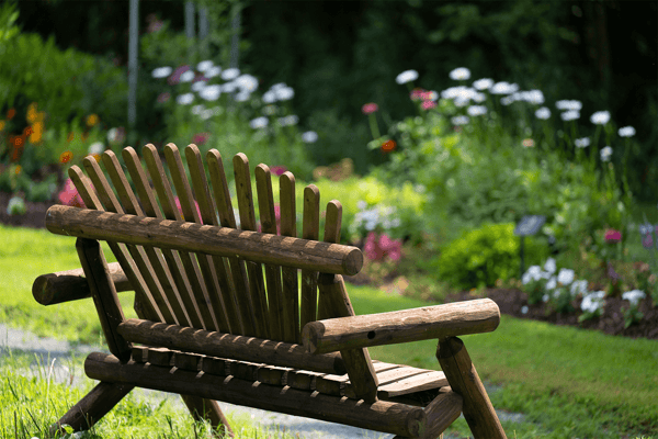 Wooden bench in a tranquil garden
