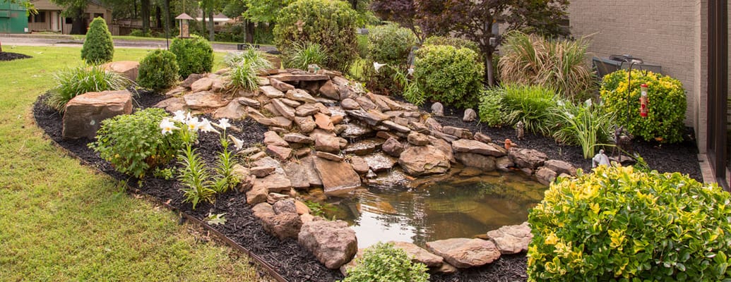 Serene garden pond surrounded by landscaping
