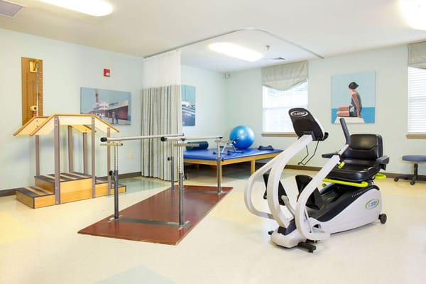 Rehabilitation area with exercise equipment and therapy bars