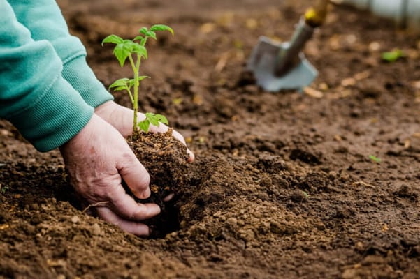 Beebe Retirement Center, Inc.