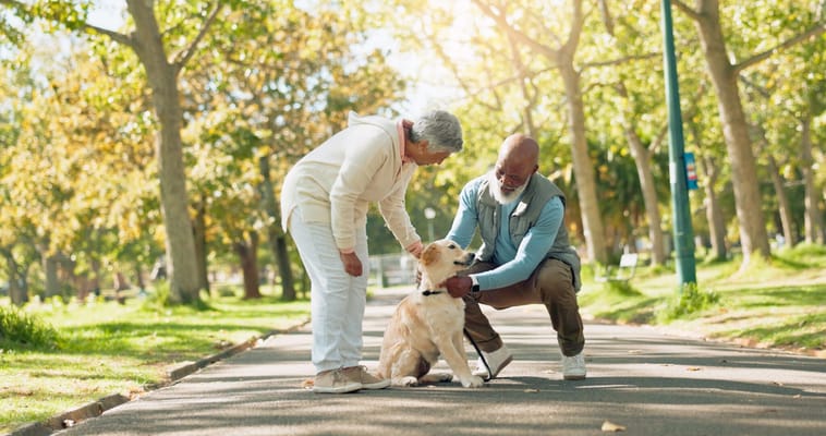 Senior couple interacting with a dog in a park