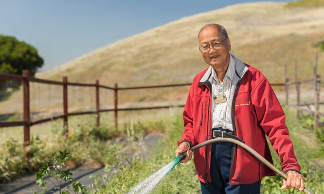 Senior resident watering plants in a garden