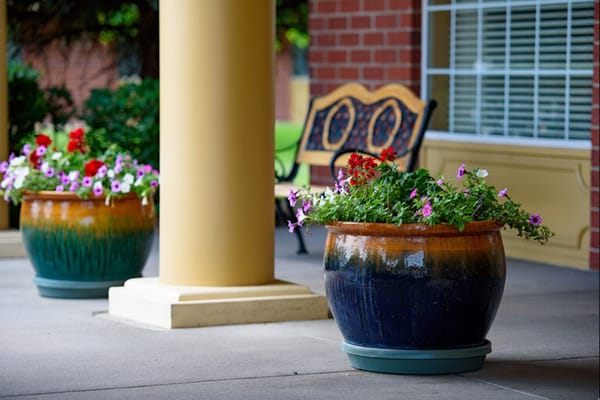 Flower pots on a porch area of a facility