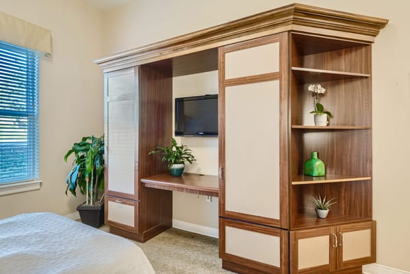Well-furnished interior room with a TV and plants