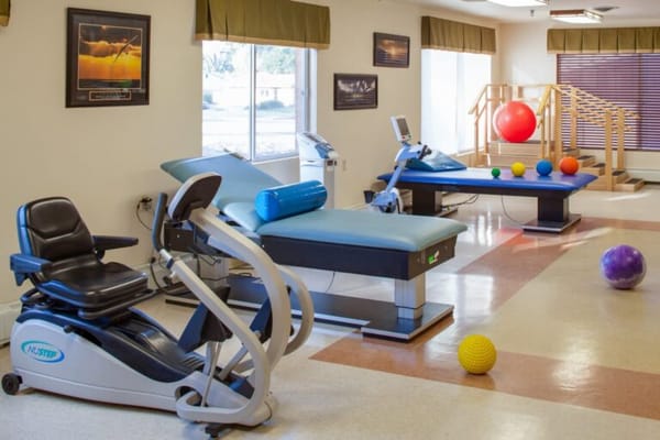 Therapy room with exercise equipment and colorful balls