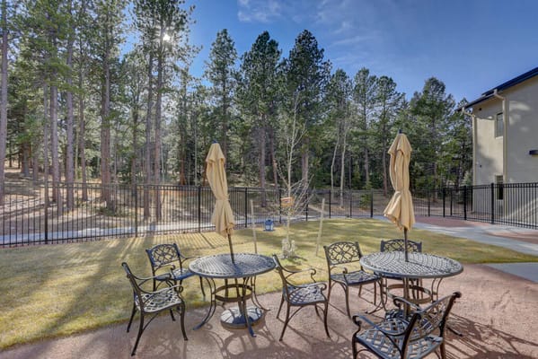Outdoor seating area with umbrellas and trees