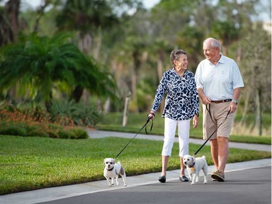 The Highlands at the Glenridge on Palmer Ranch