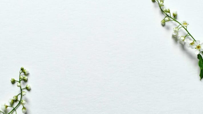 ROCKDALE HEALTHCARE CENTER