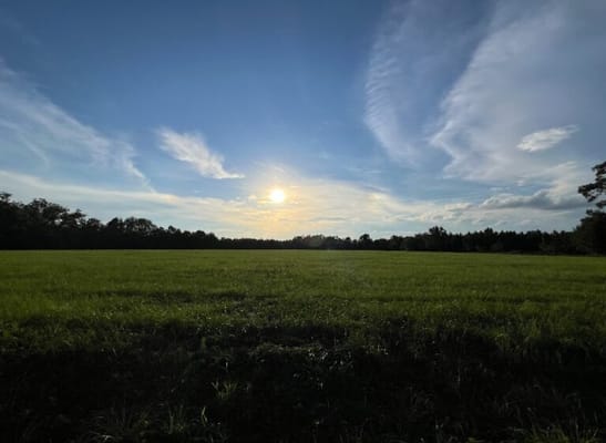 PREMIER ESTATES OF DUBLIN, LLC