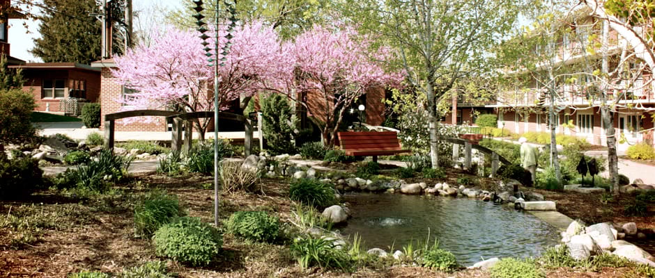 a serene garden area with blooming trees and a pond