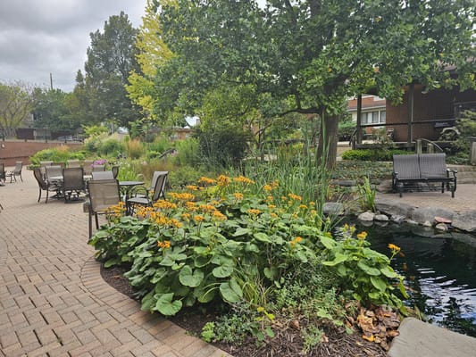Outdoor garden area with walking paths and seating