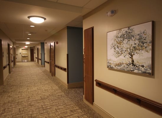A hallway featuring artwork and handrails