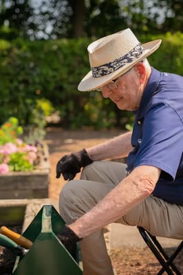 An elderly man gardening in a bright outdoor setting