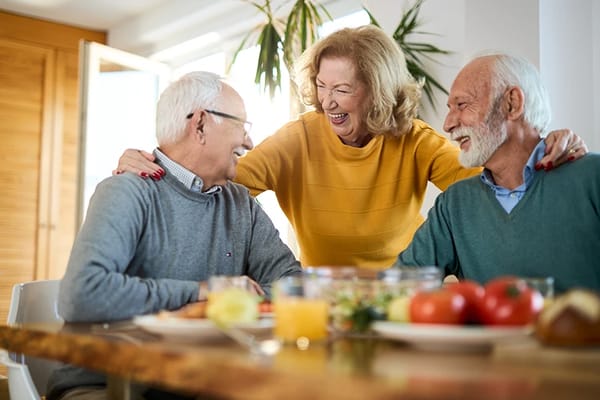 FRANCISCAN VILLAGE OF LEMONT