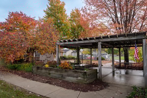 Beautiful autumn scene in a garden with colorful leaves