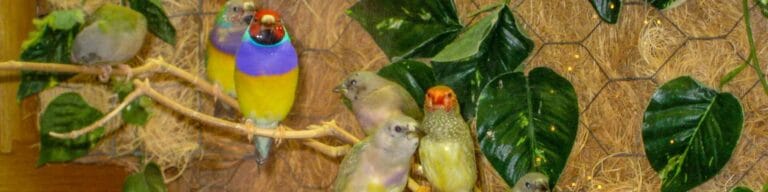 CLARK REHABILITATION AND SKILLED NURSING CENTER