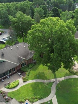 Aerial view of a landscaped outdoor area with pathways